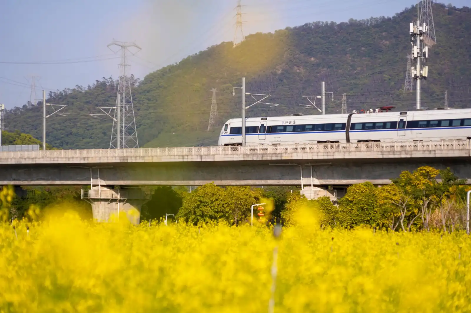 2024年内蒙古地区建材贸易价格波动与采购策略分析
